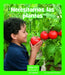 Necesitamos Las Plantas (We Need Plants) by Maryellen Gregoire