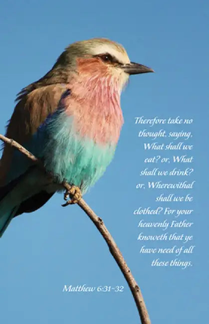 Your Heavenly Father Knoweth Bulletin (Pkg 100) General Worship