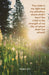 The Lord Is My Light Bulletin (Pkg 100) General Worship