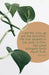 Much Fruit Bulletin (Pkg 100) General Worship