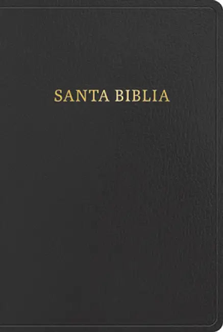 Rvr 1960 Biblia Letra Gigante, Negro, Imitación Piel Con Índice (2023 Ed.) by B&h Español Editorial