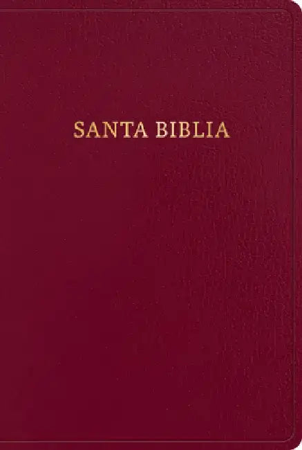 Rvr 1960 Biblia Letra Gigante, Borgoña Imitación Piel (Edición 2023): Santa Biblia by B&h Español Editorial