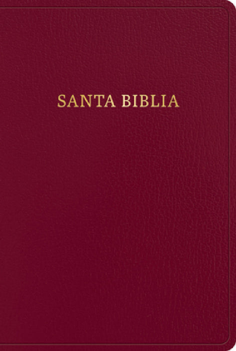 Rvr 1960 Biblia Letra Gigante, Borgoña Imitación Piel (Edición 2023): Santa Biblia by B&h Español Editorial