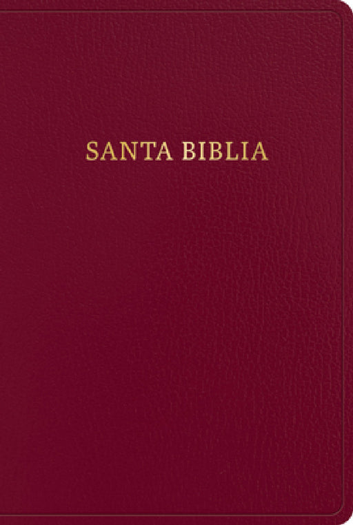 Rvr 1960 Biblia Letra Gigante, Borgoña Imitación Piel (Edición 2023): Santa Biblia by B&h Español Editorial