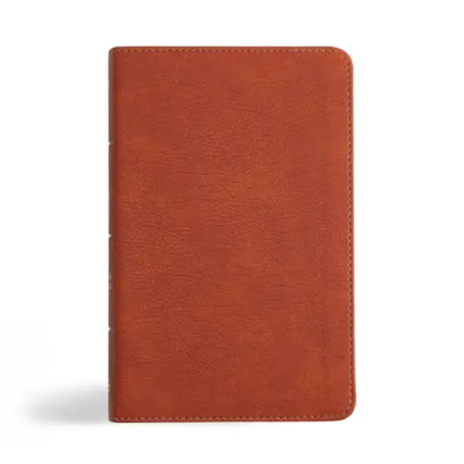 NASB Personal Size Bible, Burnt Sienna Leathertouch by Holman Bible Publishers