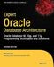 Expert Oracle Database Architecture: Oracle Database Programming 9i, 10g, and 11g Techniques and Solutions by Thomas Kyte