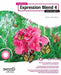 Foundation Expression Blend 4 with Silverlight by Victor Gaudioso