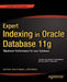 Expert Indexing In Oracle Database 11G: Maximum Performance for Your Database by Fernandez Ignatius
