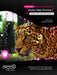 Foundation Adobe Edge Animate: For Html5, Css3, and JavaScript Development by Tom Green