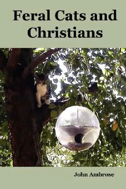 Feral Cats and Christians by Jr. Ambrose John