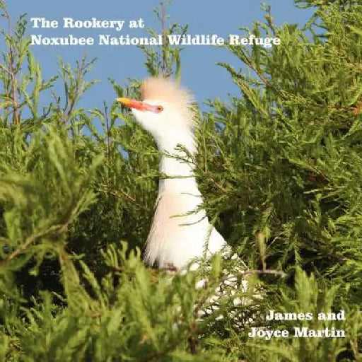 The Rookery at Noxubee Wildlife Refuge by Joyce Martin