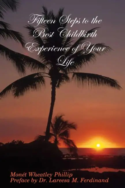Fifteen Steps to the Best Childbirth Experience of Your Life by Monét Wheatley Phillip, Preface Lareesa M. Ferdinand