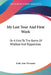 My Last Tour And First Work: Or A Visit To The Baths Of Wildbad And Rippoldsau by Lady Ann Vavasour