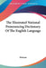 The Illustrated National Pronouncing Dictionary Of The English Language by Webster