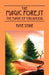The Magic Forest: The Magic of Childhood by Faye Stine