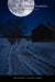 Z1n1: The Zombie Pandemic: 2012 Was Just the Beginning by Mitchell Layne Cook