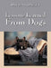 Lessons Learned from Dogs by David A. Dailey