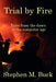 Trial by Fire: Tales From The Dawn of The Computer Age by Stephen M. Buck