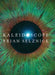 Kaleidoscope by Brian Selznick