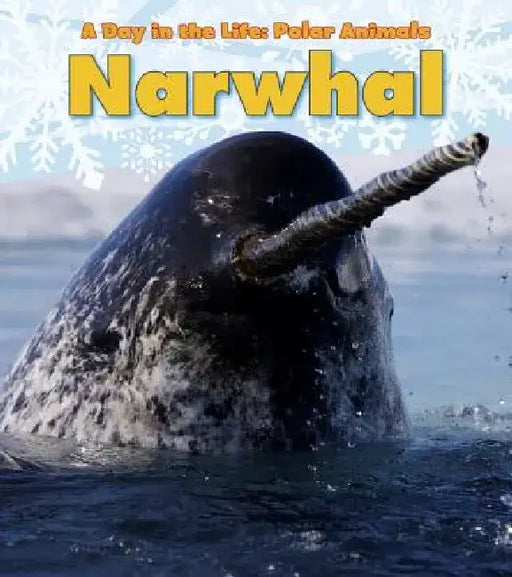 Narwhal by Katie Marsico
