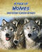 A Pack of Wolves: And Other Canine Groups by Anna Claybourne
