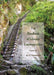 The Handbook of Lifespan Communication by Thomas Socha, Jon F. Nussbaum