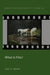 What Is Film? by Julie N. Books
