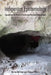 Indigenous Epistemology: Descent Into the Womb of Decolonized Research Methodologies by McClean, Marva