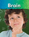 Brain by Lisa Perlman Greathouse, Lisa Greathouse