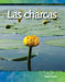 Las Charcas by Yvonne Franklin