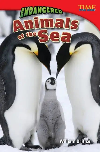 Endangered Animals of the Sea (Challenging Plus) by William Rice