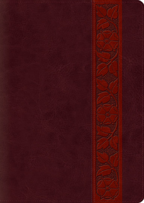 Study Bible-ESV-Large Print Trellis Design