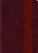 Study Bible-ESV-Large Print Trellis Design by Crossway Bibles
