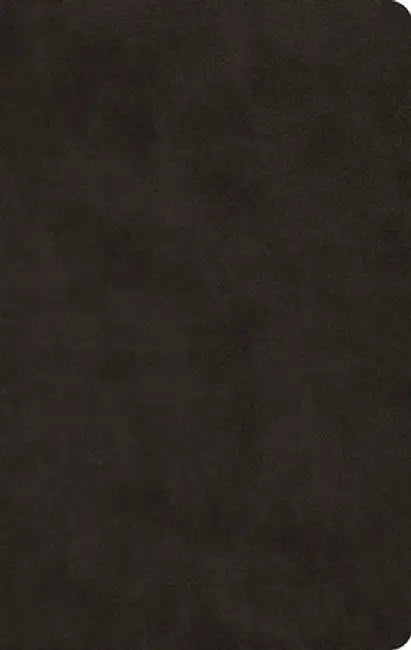 ESV Large Print Value Thinline Bible (Trutone, Black)