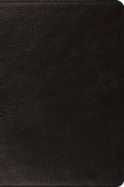 ESV Large Print Bible (Black)