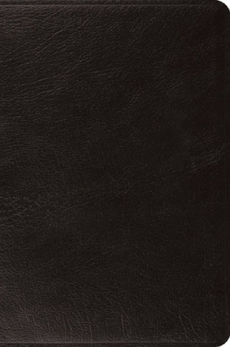ESV Large Print Bible (Black)