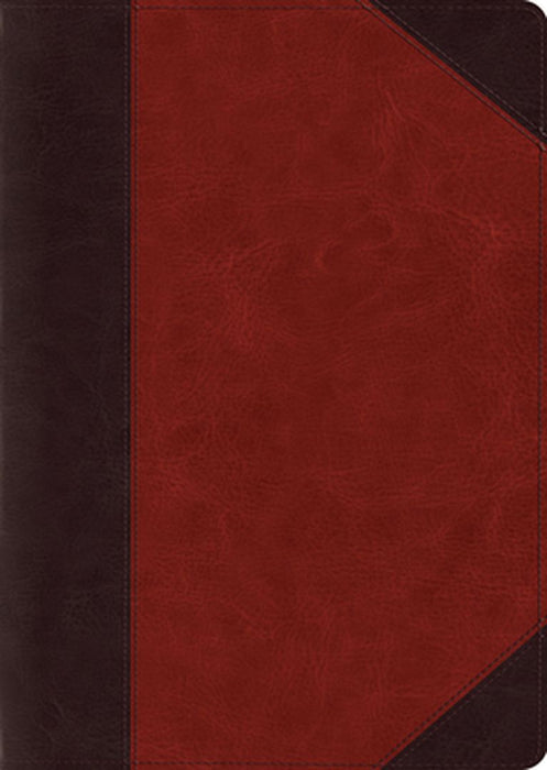 ESV Study Bible, Large Print (Trutone, Brown/Cordovan, Portfolio Design)
