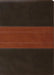 ESV Study Bible, Large Print (Trutone, Forest/Tan, Trail Design)