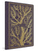ESV Illuminated Scripture Journal: Romans