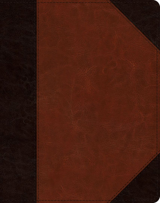 ESV Single Column Journaling Bible (Trutone, Brown/Cordovan, Portfolio Design)