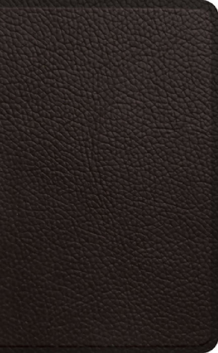 ESV Pocket Bible