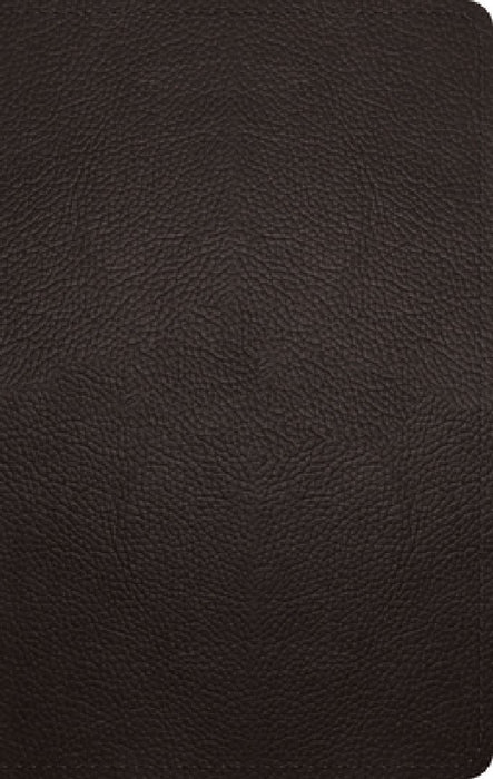 ESV Large Print Personal Size Bible (Buffalo Leather, Deep Brown)