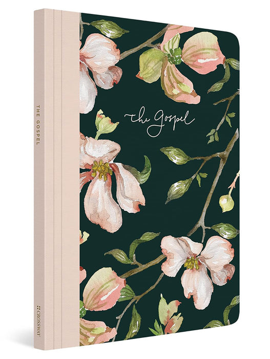 ESV Prayer Journal: 30 Days on the Gospel: 30 Days on the Gospel