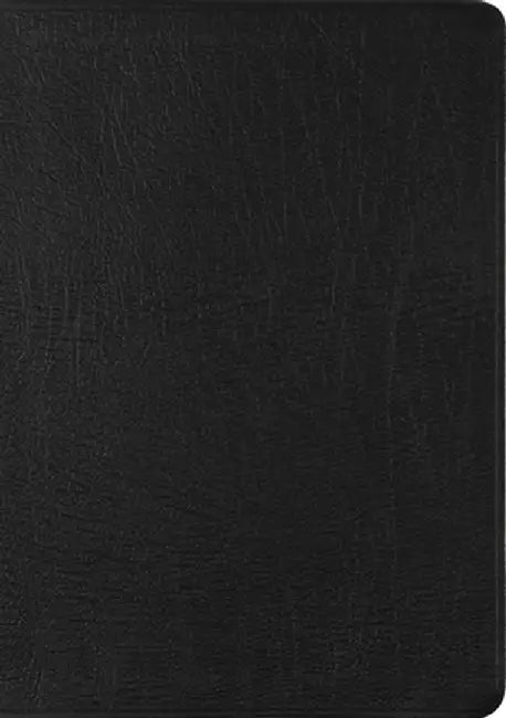 ESV New Testament with Psalms and Proverbs