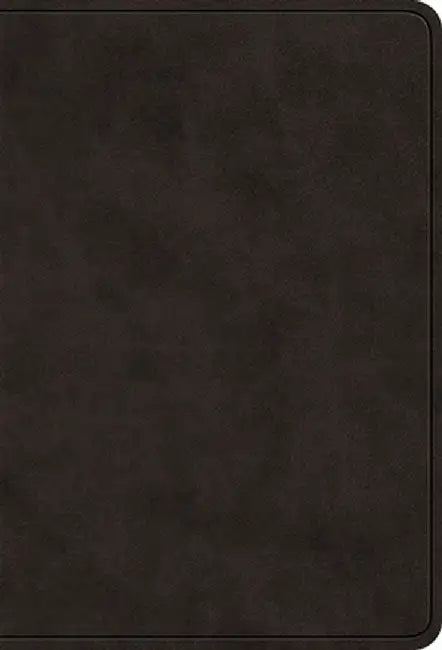 ESV Value Large Print Compact Bible (Trutone Black)