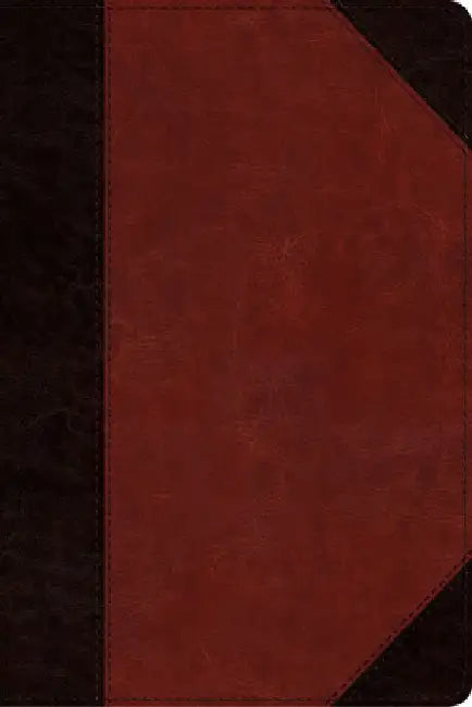 ESV Study Bible, Personal Size by T. Desmond Alexander