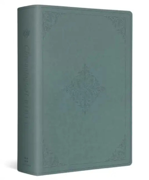 ESV Chronological Bible (Trutone, Paris Sky, Fleur-De-Lis Design) by Andrew E. Steinmann