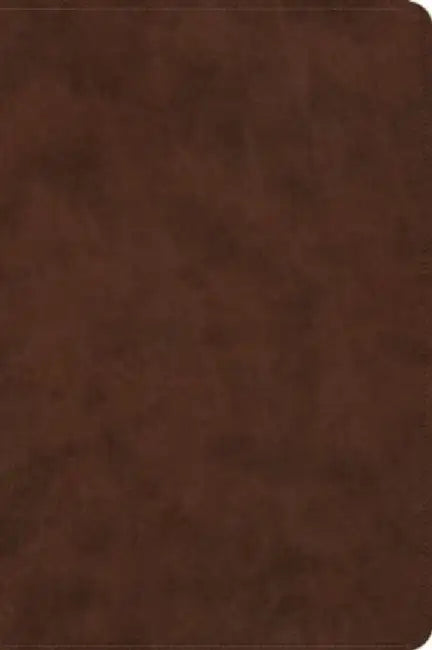 ESV Holy Bible: Dyslexia-Friendly Edition (Trutone, Brown)