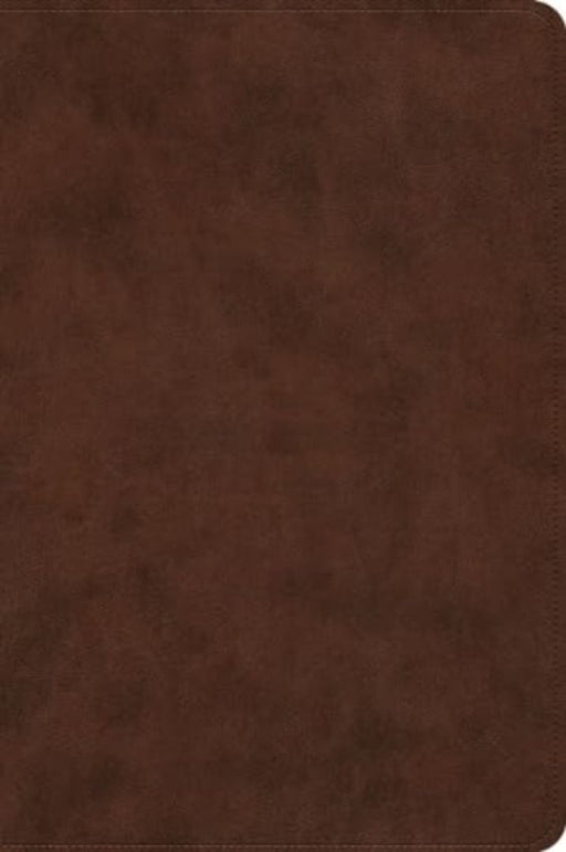 ESV Holy Bible: Dyslexia-Friendly Edition (Trutone, Brown)