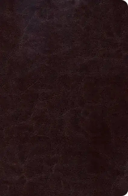 Biblia de Estudio Scofield Tomano Personal-Rvr 1960 by B&h Español Editorial